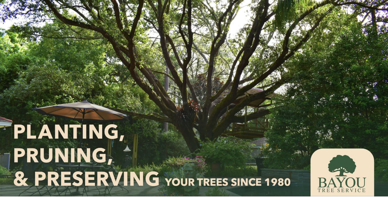 Bayou Tree Service project 1