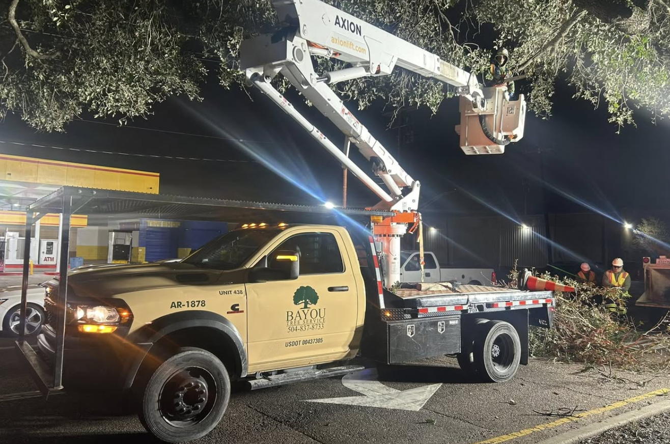Bayou Tree Service project 3