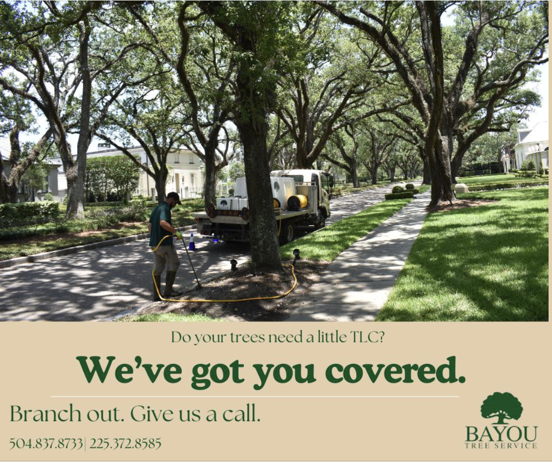 Bayou Tree Service project 2