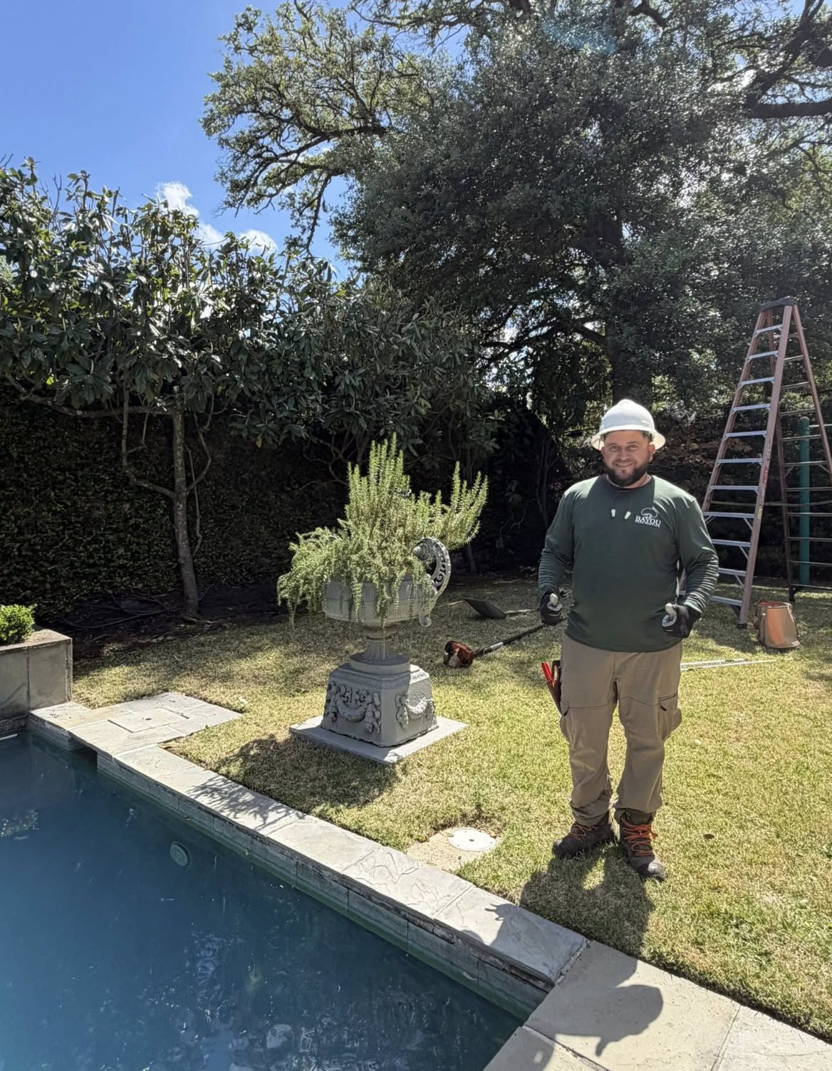 Bayou Tree Service project 4