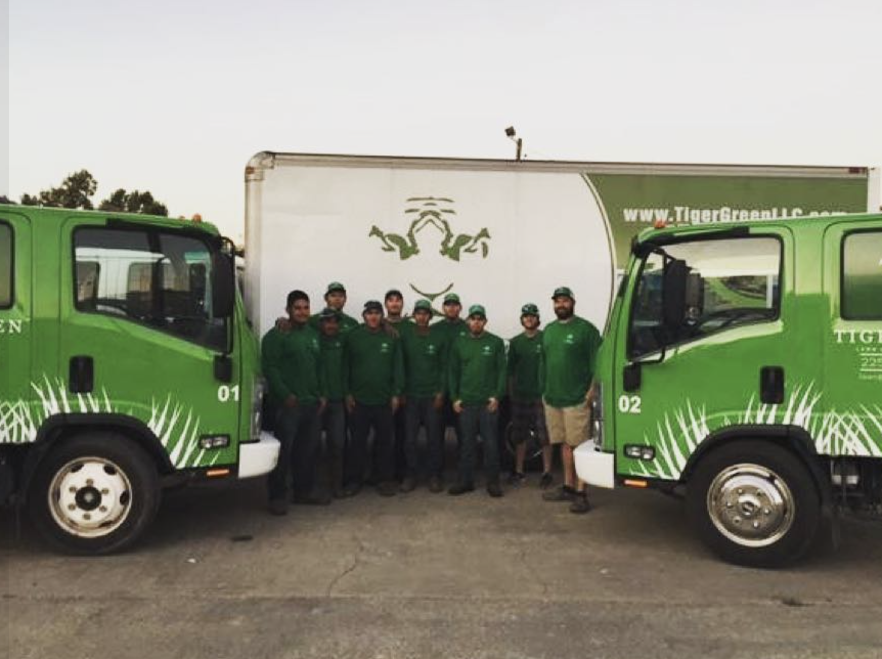 Tiger Green Lawn & Landscaping project 5